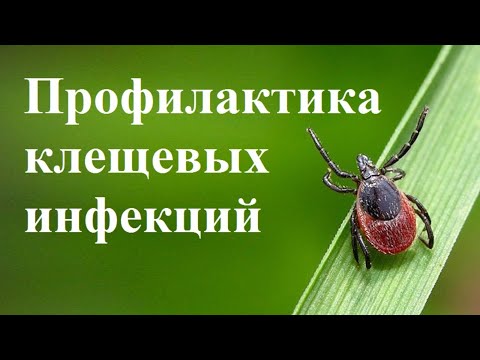 О Всероссийской горячей линии по профилактике клещевого энцефалита и инфекций, передающихся клещами.