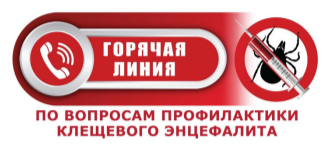 О Всероссийской горячей линии по профилактике клещевого энцефалита и инфекций, передающихся клещами.